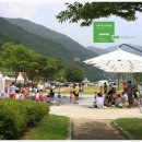 소양댐시민숲공원 이미지