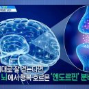 러너스 하이 이미지