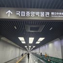 북부-11(영대역 4번 출구 앞 2) | 국립중앙박물관 카페 서울역 노홍철 카페 홍철 책방