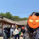 물푸레 시골집 이미지