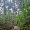 * 5월19일(월)번개 개금 숲길공원 산책후 맛집까지... 이미지