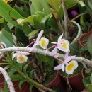 월평농장 이미지