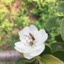 미건농장 이미지