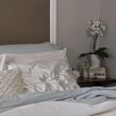 왕성세탁 이미지