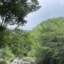 들물 관광농원 이미지