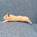 어빌리티휘트니스 이미지