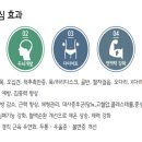 치평초등학교 이미지