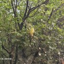 울대2리 이미지