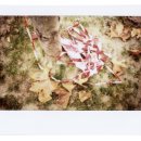 파리글라스 이미지