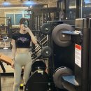 선샤인 피티샵 이미지