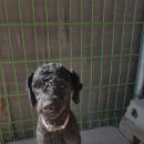 난산초등학교 이미지