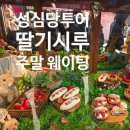 딸기짐 | 대전 성심당 딸기시루 주말 웨이팅,본점 케익부띠끄 샌드위치정거장 후기,제휴 주차장