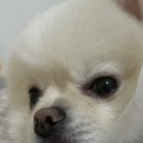 청라공감동물병원 이미지