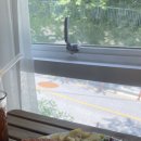 모에뜨키친 이미지