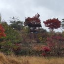 회룡대 별장펜션 이미지