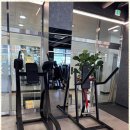 드래곤짐 이미지