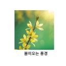 국풍2000내발산캠퍼스 | 덕원예고 국어전문 국풍2000내발산캠퍼스
