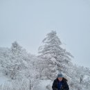 함백산 눈꽃산행(24.1.3.수) 이미지