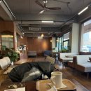 브람스를 좋아하세요 | 책 후기 <브람스를 좋아하세요…>