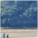 노을펜션 이미지