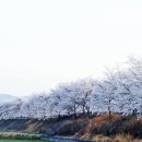 대산리 화장실 이미지