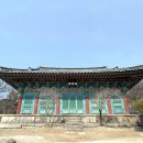 동화사 - 세종특별자치시 | 동화사