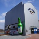 청도소싸움축제 세계일보