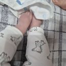 평창자연휴양림 이미지