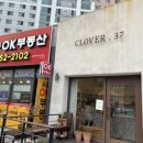 클로버. (clover)37 이미지