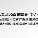 둔산송도외과