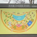 관평천 | 대전 벚꽃 명소 관평천 4월 5일 실시간 개화 상황!