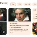 레빗(Levit) 이미지