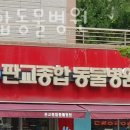 판교종합동물병원 네이버블로그