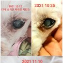 신일산동물병원 이미지