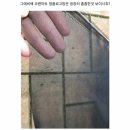 아름두리 이미지