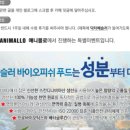 애니몰로