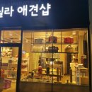바닐라 애견샵 네이버블로그