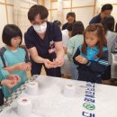 대구수성초등학교 이미지