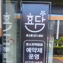 효소를담다, 효담 이미지