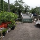 근덕초 노곡분교장 이미지