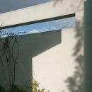 스테이그라피 이미지