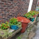 신일3리마을회관 이미지