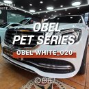 디테일카스킨 | 광주랩핑 벤츠 랩핑 닥터나이프카스킨 - 오벨 화이트(OBEL WHITE) 컬러 시공 후기
