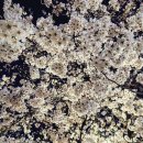 앞산 맛둘레길 경관 이미지