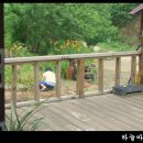 문영미농장 | 귀농아낙의 산골편지--산골의 미니 번개