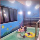 풀 스테이 햅번 이미지