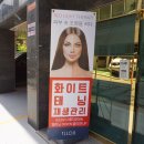 켈리스파 이미지