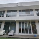 네이베이 솔리드 이미지