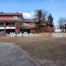 용산기지 옛 미군장교숙소(현 용산공원) 이미지