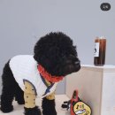 라운지독 이미지